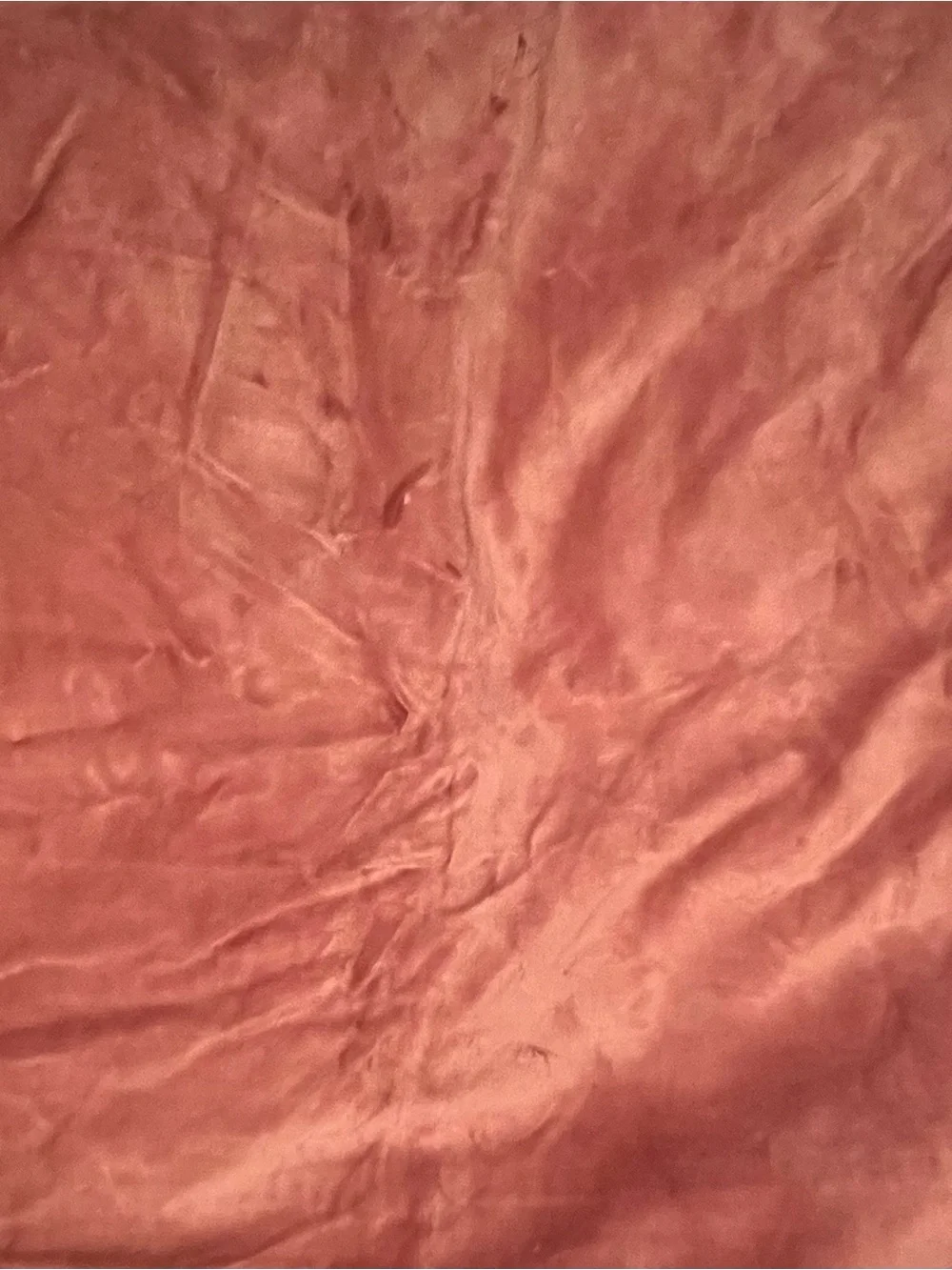 Quince cotton velvet